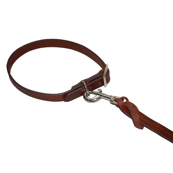 All-in-One Men's Genuine Leather Belt, Dog Collar, and Dog Leash Set - Picture 2 of 12